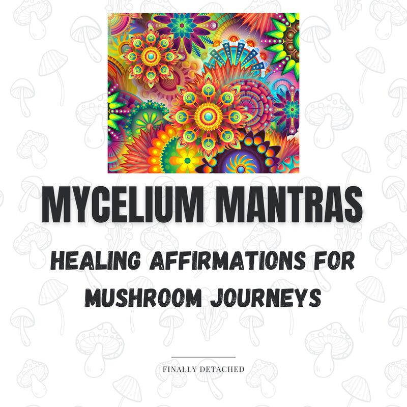 Mycelium Mantras: Healing Affirmations for Mushroom Journeys